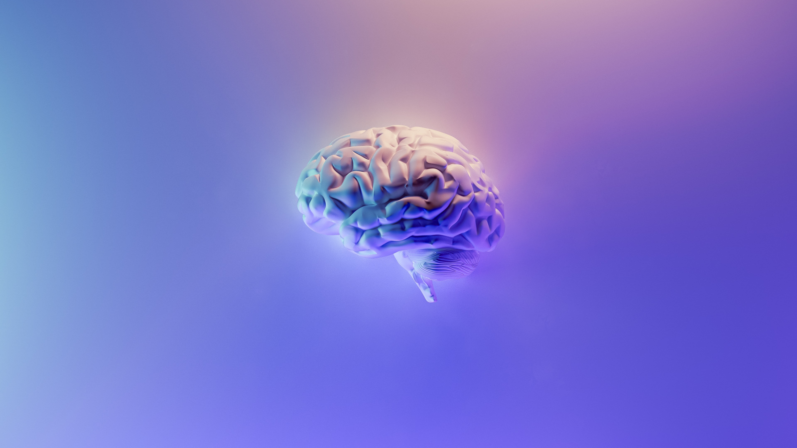 Brain Unsplash Cropped small